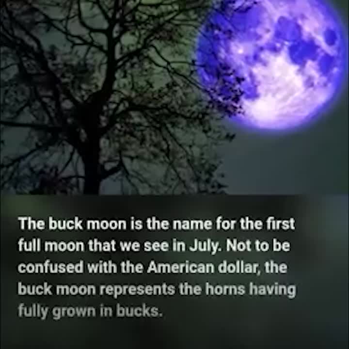 What is a buck moon!