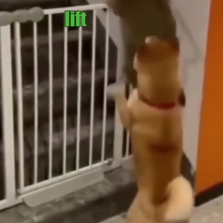 Diet!