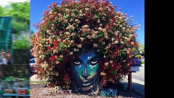 Happy Street Art Day!