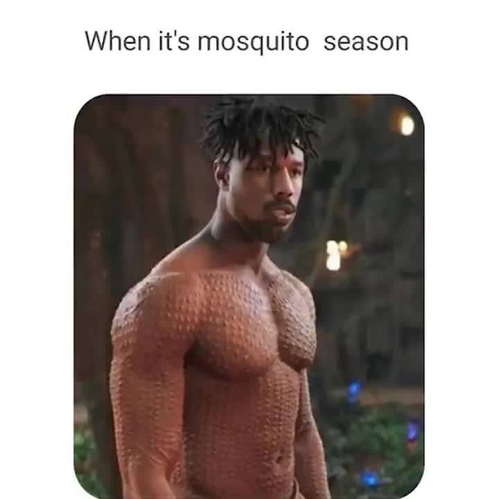 Mosquito season!