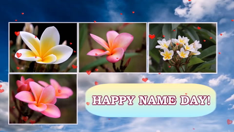 Happy Name Day!