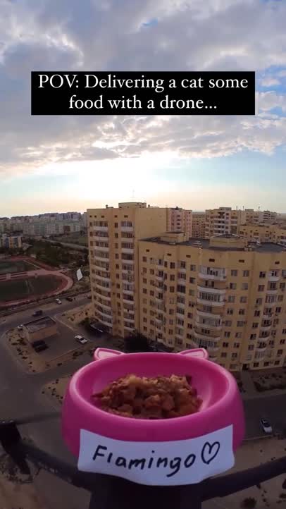 Food delivery!