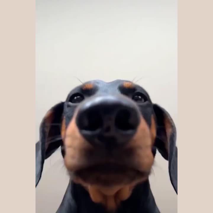 You got message!