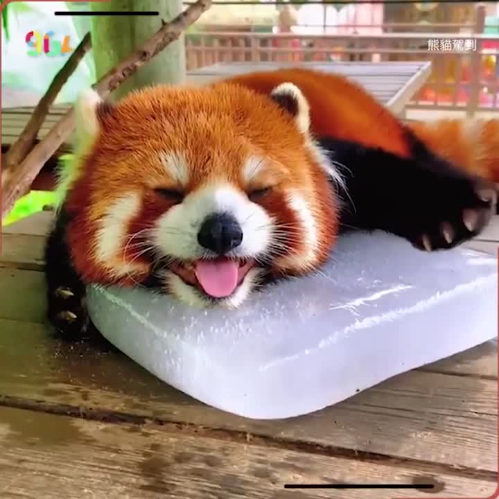 It's so hot out there!
