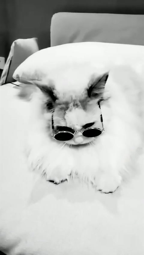 What's up?