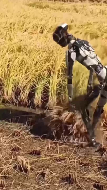 Robot at the field!