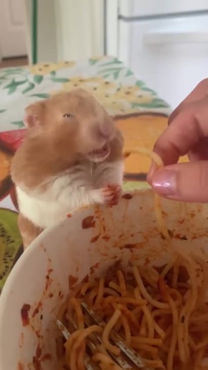 Hungry!