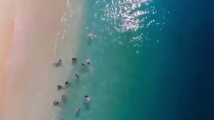 At the sea!