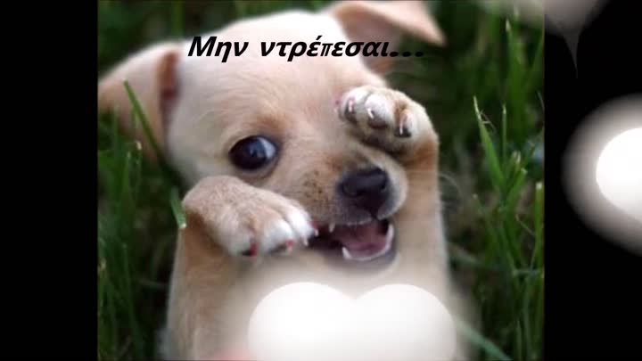 Μην ντρέπεσαι!