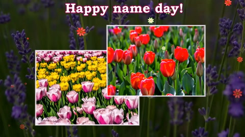 Happy Name Day!
