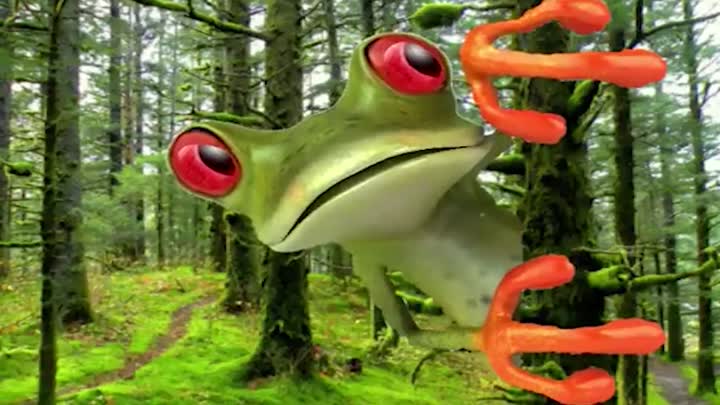 Happy Birthday from the frog!
