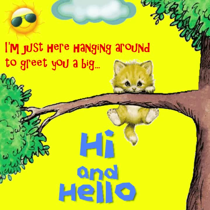 Hello!