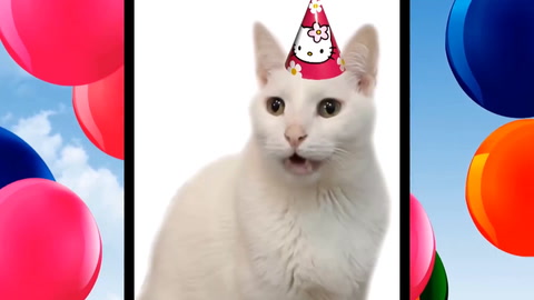 Happy Birthday!