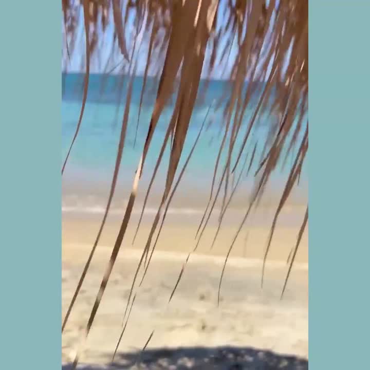 At the beach!