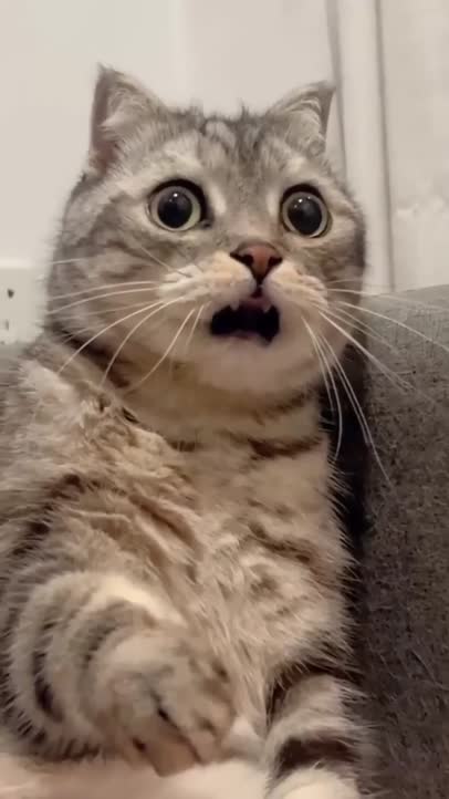 WTF!