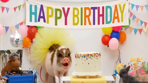 Happy Birthday!